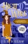 S. E. Biglow - High Wire