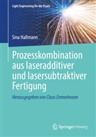 Sina Hallmann - Prozesskombination aus laseradditiver und lasersubtraktiver Fertigung
