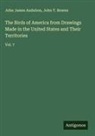 John James Audubon, John T. Bowen - The Birds of America from Drawings Made in the United States and Their Territories