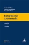 Elisabeth Brameshuber, Michael Friedrich, Claudia Schubert - Europäisches Arbeitsrecht