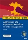 Felix Euler, Dörte Grasmann - Therapie-Tools Aggressives und expansives Verhalten im Kindes- und Jugendalter