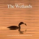 Andrew Wilson - Wild about The Wetlands