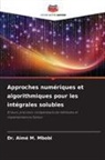 Aimé M. Mbobi, Dr. Aimé M. Mbobi - Approches numériques et algorithmiques pour les intégrales solubles