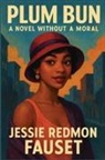 Jessie Redmon Fauset - Plum Bun