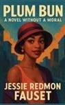 Jessie Redmon Fauset - Plum Bun