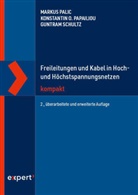 Markus Palic, Konstantin O Papailiou, Konstantin O. Papailiou, Gun Schultz, Guntram Schultz - Freileitungen und Kabel in Hoch- und Höchstspannungsnetzen kompakt