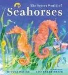 Lou Baker-Smith, Nicola Davies - The Secret World of Seahorses