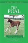 Christina S. Cable - Understanding the Foal