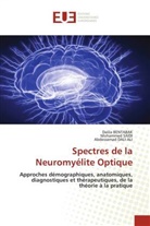 Dalila Bentabak, Abdessamad DALI-ALI, Mohammed Saïdi - Spectres de la Neuromyélite Optique