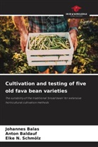 Johannes Balas, Anton Baldauf, Elke N. Schmölz - Cultivation and testing of five old fava bean varieties