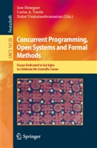Carlos A Varela, Jose Meseguer, Carlos A. Varela, Nalini Venkatasubramanian - Concurrent Programming, Open Systems and Formal Methods