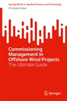 Christoph Hoppe - Commissioning Management in Offshore Wind Projects