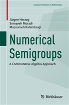 Jürgen Herzog, Somayeh Moradi, Masoome Rahimbeigi, Masoomeh Rahimbeigi - Numerical Semigroups
