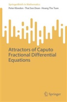 Thai Son Doan, Peter Kloeden, Hoang The Tuan - Attractors of Caputo Fractional Differential Equations