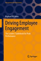 Raphael H Cohen - Driving Employee Engagement
