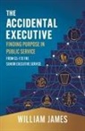 William James - The Accidental Executive