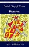 Beriah Gwynfe Evans, Adam Pearce - Bronwen