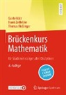 Thomas Rießinger, Guido Walz, Frank Zeilfelder - Brückenkurs Mathematik