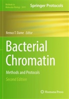Remus T. Dame, Remus T Dame - Bacterial Chromatin