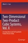Albert C J Luo, Albert C. J. Luo - Two-dimensional Two-product Cubic Systems Vol.II