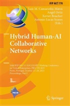 Xavier Boucher, Xavier Boucher et al, Luis M. Camarinha-Matos, Antonio Lucas Soares, Angel Ortiz - Hybrid Human-AI Collaborative Networks