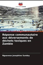 Nguavese Josephine Sunday - Réponse communautaire aux déversements de déchets toxiques en Zambie