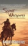 David Fabricius - Spirit Whispers