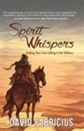 David Fabricius - Spirit Whispers