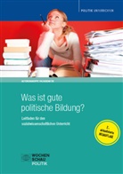 Anja Besand, Tilmann Grammes, Reinhold Hedtke, Pete Henkenborg, Peter Henkenborg, Dirk Lange... - Was ist gute politische Bildung?