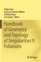 Felipe Cano, José Luis Cisneros-Molina, Lê D_ng Tráng, Lê D¿ng Tráng, Lê Dung Tráng et al, José Luis Cisneros-Molina... - Handbook of Geometry and Topology of Singularities V: Foliations