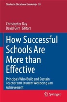 Christopher Day, Gurr, David Gurr - How Successful Schools Are More than Effective
