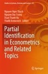 Nguyen Duc Trung, Doan Thanh Ha, Vladik Kreinovich, Nguyen Ngoc Thach, Doan Thanh Ha et al, Nguyen Duc Trung - Partial Identification in Econometrics and Related Topics