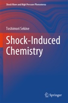 Toshimori Sekine - Shock-Induced Chemistry