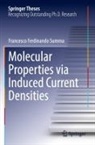 Francesco Ferdinando Summa - Molecular Properties via Induced Current Densities