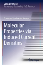 Francesco Ferdinando Summa - Molecular Properties via Induced Current Densities