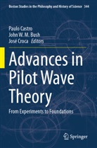 John W. M. Bush, Paulo Castro, José Croca, John W M Bush - Advances in Pilot Wave Theory