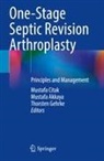 Mustafa Akkaya, Mustafa Citak, Thorsten Gehrke - One-Stage Septic Revision Arthroplasty