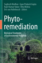 Gyan Prakash Gupta, Eric van Hullebusch, Rajiv Kumar Yadav et al, Sughosh Madhav, Ritu Mishra, Gyan Prakash Gupta... - Phytoremediation