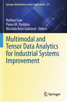 Mostafa Reisi Gahrooei, Nathan Gaw, Panos M Pardalos, Panos M. Pardalos, Mostafa Reisi Gahrooei - Multimodal and Tensor Data Analytics for Industrial Systems Improvement