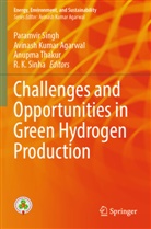 Avinash Kumar Agarwal, Avinash Kumar Agarwal, Paramvir Singh, R. K. Sinha, Anupma Thakur, Anupma Thakur et al - Challenges and Opportunities in Green Hydrogen Production