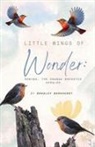 Bradley Barkhurst - Little Wings of Wonder