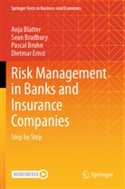 Anja Blatter, Sean Bradbury, Pascal Bruhn, Pascal et al Bruhn, Dietmar Ernst - Risk Management in Banks and Insurance Companies