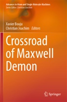 Xavier Bouju, Joachim, Christian Joachim - Crossroad of Maxwell Demon