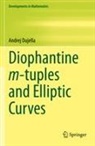 Andrej Dujella - Diophantine m-tuples and Elliptic Curves