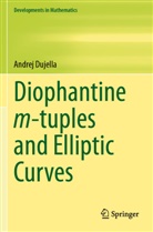 Andrej Dujella - Diophantine m-tuples and Elliptic Curves