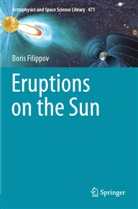 Boris Filippov - Eruptions on the Sun