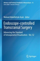 Waleed Abdelfattah Azab - Endoscope-controlled Transcranial Surgery