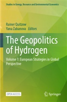 Rainer Quitzow, Yana Zabanova - The Geopolitics of Hydrogen