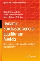 Hamilton Galindo Gil, Alexis Montecinos Bravo, Ort, Marco Antonio Ortiz Sosa - Dynamic Stochastic General Equilibrium Models