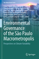 Célio Bermann, Célio Bermann et al, Edmilson Dias de Freitas, Klaus Frey, Leandro Luiz Giatti, Pedro Roberto Jacobi... - Environmental Governance of the São Paulo Macrometropolis